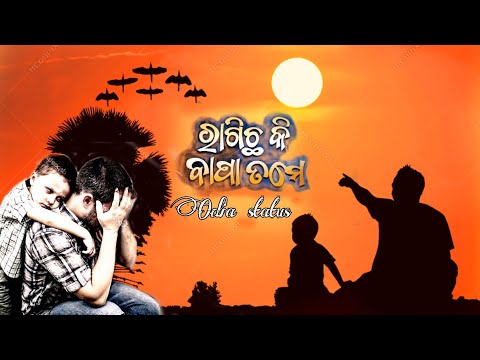 Ragicha ki Bapa tame || Realtion between a father & Son ||  sad status 😭😭