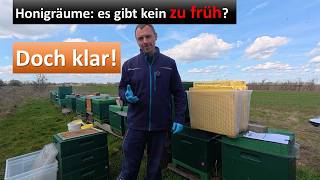 Honigräume: Gibt es auch ein zu früh? Ja klar!