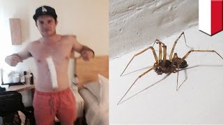 Scariest spider ever? Arachnid crawls underneath Australian man’s skin for three days