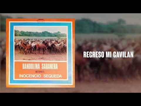 Que Te Perdone El Diablo - Inocencio Sequeda | Música Llanera