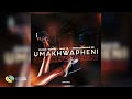 Funktone NayB And Mbalenhle M UMakhwapheni Official Audio