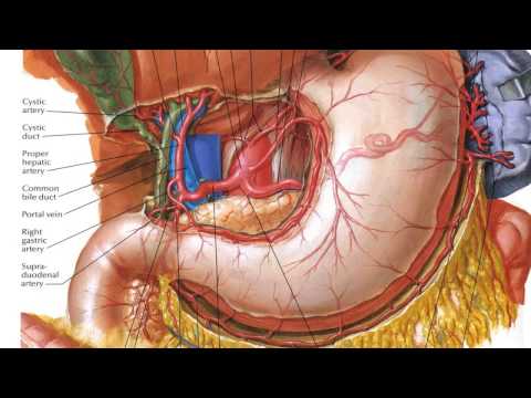 Esercizio per le donne in gravidanza con osteocondrosi cervicale Che per trattare i nervi nellarticolazione del ginocchio