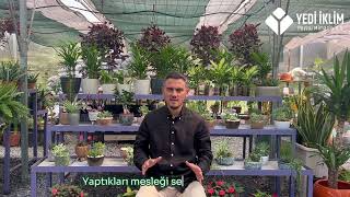 Peyzaj Mimarı Olmak İsteyenlere Tavsiyeler
