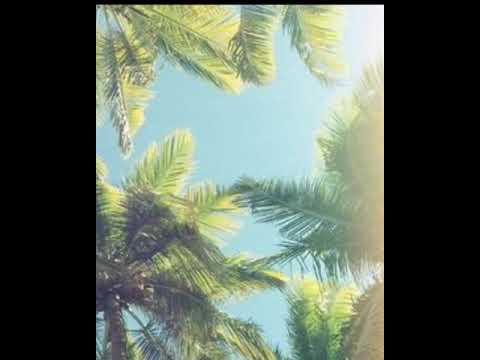 HINO 329 ❤️ " COM FÉ COMBATE "