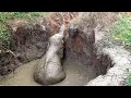 Kind People Brought Back To Life An Elephant Who Had Given Up All Hopes Of Life