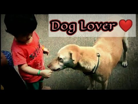 | 2 year old Dog Lover | Saisha Shelar |