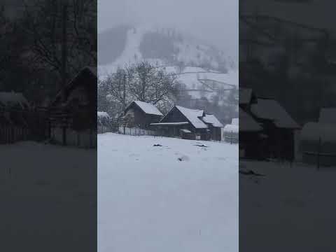 Pârâul Cârjei, Borca, jud.Neamț.