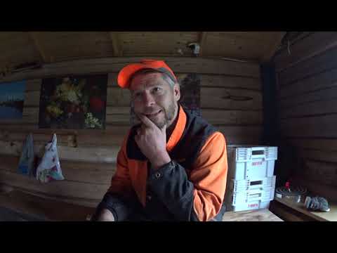 Metsolan Metsäkoulu 178 - Puhutaan metsäsijoittamisesta!