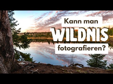 Wildnis - ein spannendes Thema zum Fotografieren!