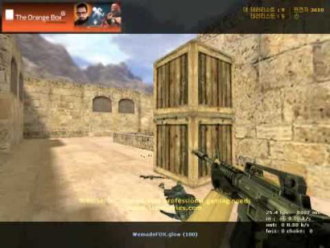 DTS-CUP 2009 Wemade Fox.glow  1 vs 3 cat