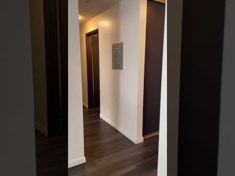 BG40-13 - Video 2 of 2