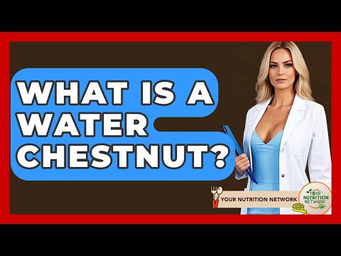 What Is A Water Chestnut? - Your Nutrition Network
