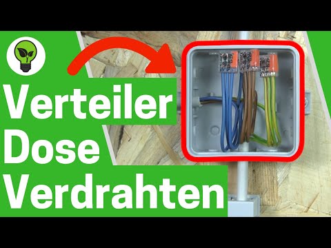 Wiring a junction box ✅ ULTIMATE INSTRUCTIONS: How to properly connect a junction box with termin...