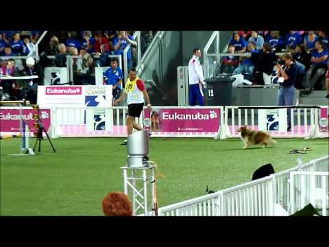 Hungarian Medium Team, AWC 2011 Liévin, Jumping Team Gold