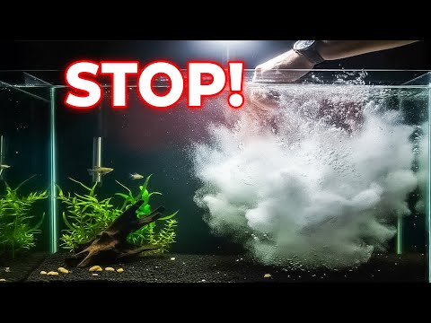 STOP Doing THIS if Your Aquarium Water Stays Cloudy!