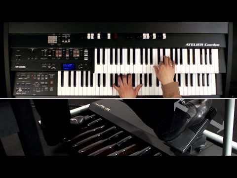 Rich, expressive violin song with pizzicato (multi)