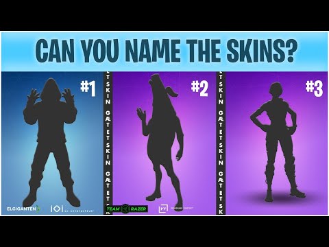 Guess The Fortnite Skin (Music Edition)
