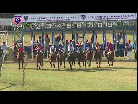 The Crowned King Plate | Eagles Vision | J.Allyhosain 100th win