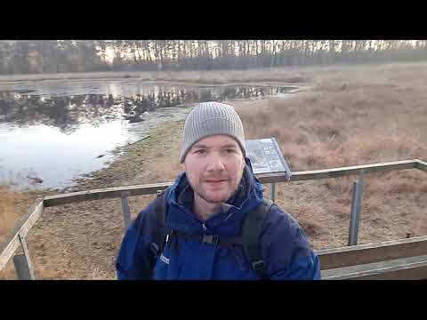 Wanderung im Münsterland zur Fürstenkuhle