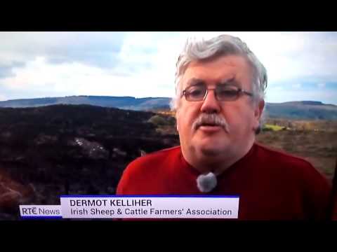 Strongest Irish Accent!