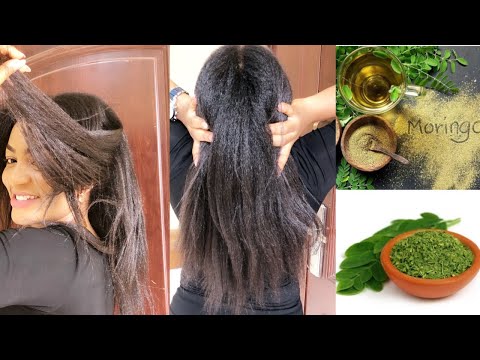 download lagu mp3 mp4 Moringa Oil For Hair Reviews, download lagu Moringa Oil For Hair Reviews gratis, unduh video klip Moringa Oil For Hair Reviews