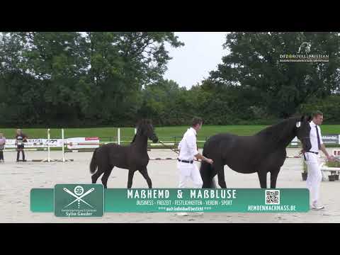 Fokdag | DFZ Hamm 1 | 18 augustus 2024