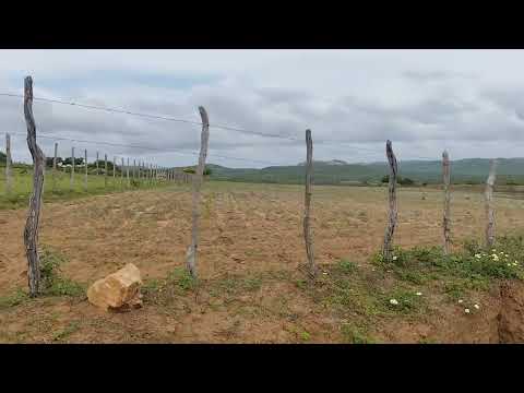 Fazenda Região de Jaguaré Casserengue PB 5/3/26 