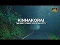 Kinnakorai Ootty Forest Route The Last Village In Nilgiri Vlog 92
