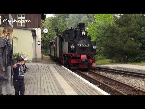 Döllnitzbahn "Wilder Robert" - Mitfahrt im Aussichtswagen.