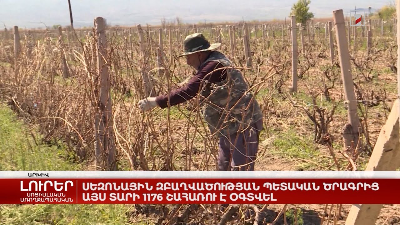 Սեզոնային զբաղվածության պետական ծրագրից այս տարի 1176 շահառու է օգտվել