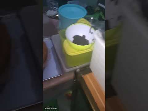 aneka cake #bolu #roti #bolutape #jajanan