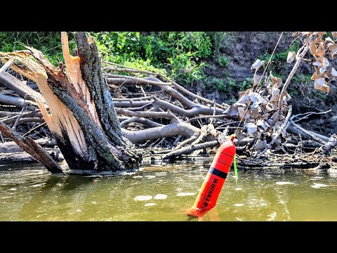 BOBBER FISHING Next to Fallen Trees! (Wade Fishing)