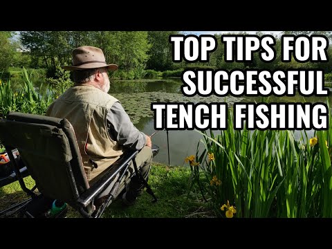 Top Tips For Successful Tench Fishing with Des Taylor