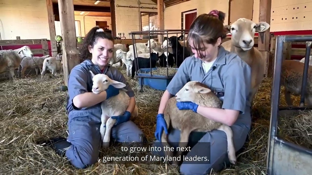 University of Maryland Extension