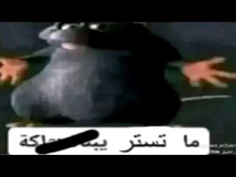 كرنج الارض +18(رصيدك في الستر خلص معايا🤗)
