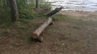 Клев рыбы на вилейском водохранилище брик