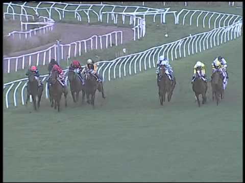 Galoppo 19/11/2014 - 3°corsa