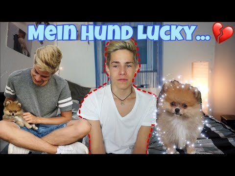 Mein Hund Lucky...🙁❤/ itsofficialmarco