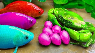Rainbow Koi Fish 💕Stop Motion Koi Fish Battle With Colorful Octopus,frogs,crabs | Coco