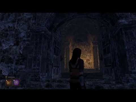 Shadow Walker - Successful Run