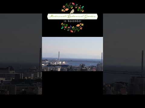 薬用植物園にて。（2024年11月）