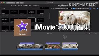 動画編集風景撮ってみた