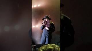 Weird Al - Amish Paradise - 2016