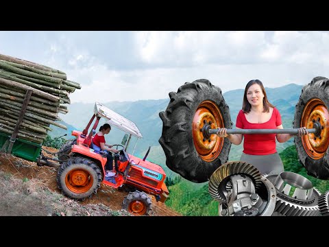 Genius Girl’s Heartwarming Mission: Reviving a Rusty Tractor That No One Could Fix!