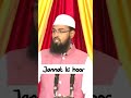 JANNAT Ki Hoor Kitni Khubsurat Hungi Youtubeshorts Shortsvideo Shortsfeed Status Shorts Youtube