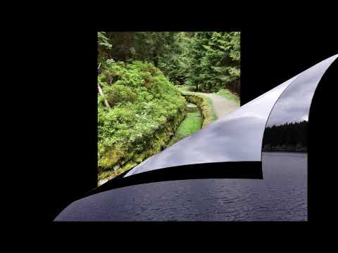 Huttaler Widerwaage (Harz)