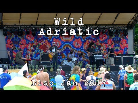 Wild Adriatic: 2017-06-10 - Disc Jam Music Festival; Stephentown, NY [4K]