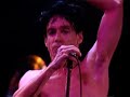 Iggy Pop Lust For Life 11 14 1986 Ritz