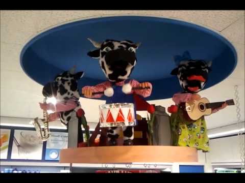 Hoogvliet Koeienlied