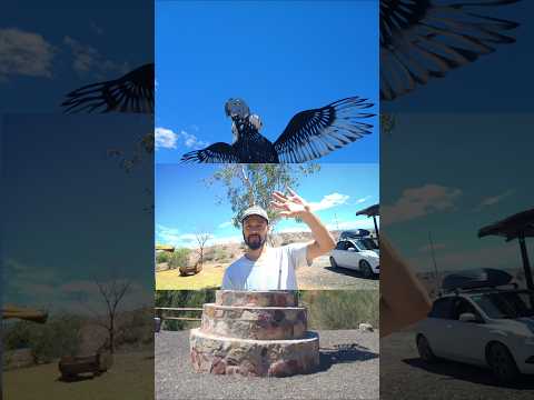 🚗PARADOR PEÑON AGUILA🦅 #shotrs